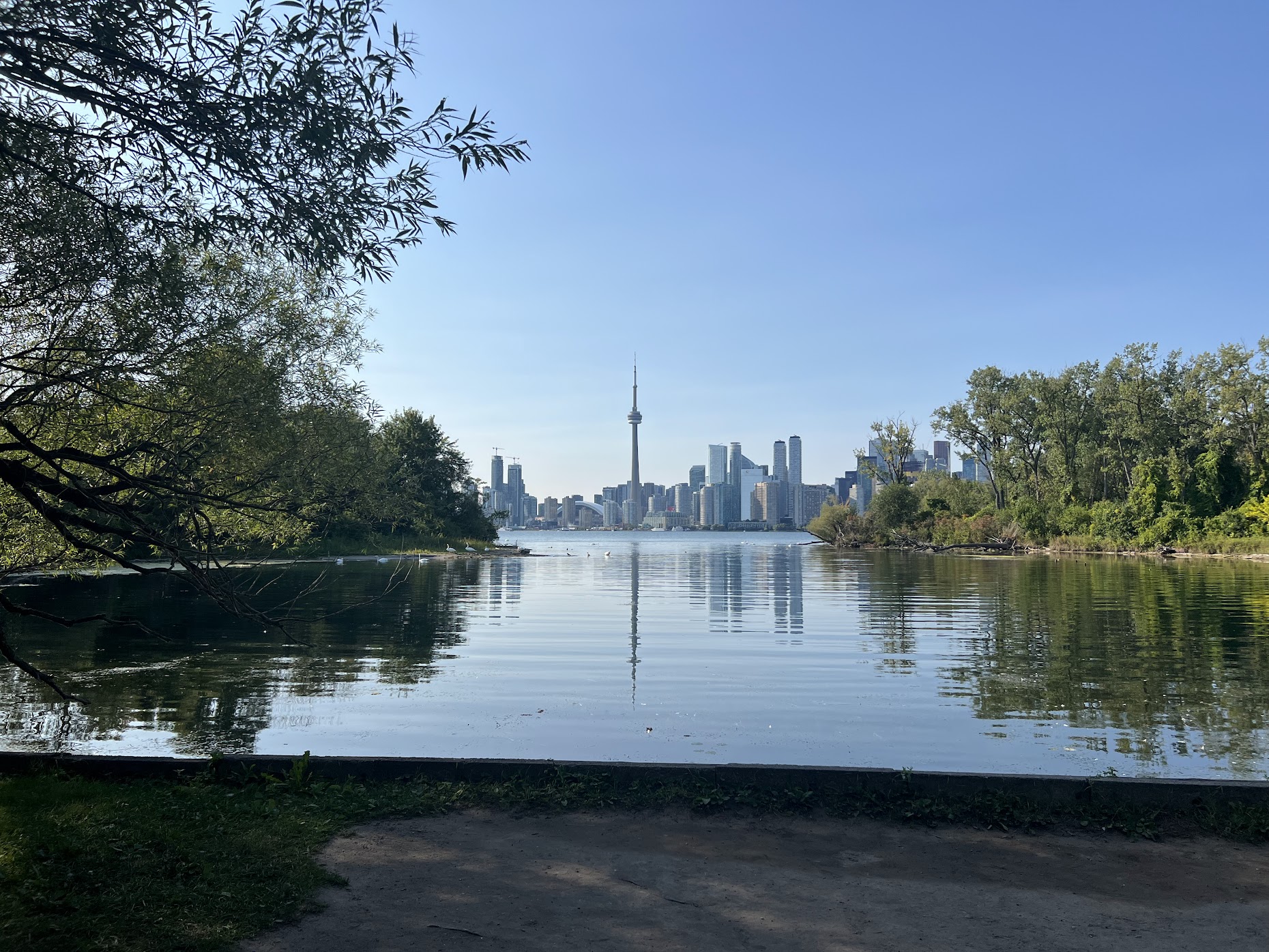 The toronto skyline taken from Toronto island. It is a sunny day with blue skies. The CN tower stands in the middle